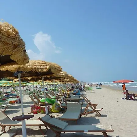 Ginevra 1 -