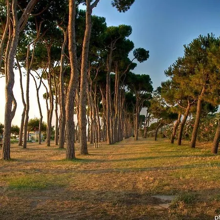 Ginevra 1 - Apartment Pineto